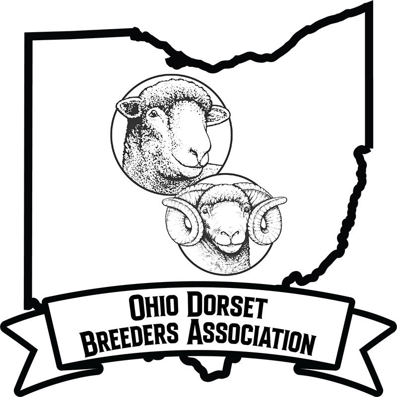 Ohio Dorset Breeders Association